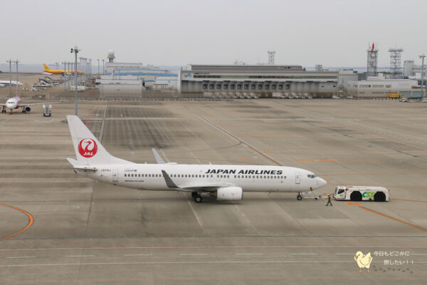 JALの飛行機（B737-800_JA316J）