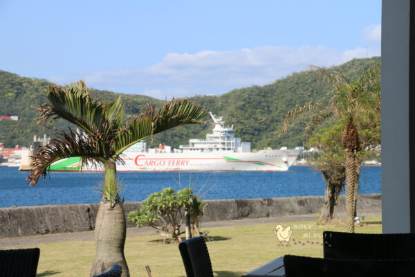 山羊島ホテルから見えた貨物船