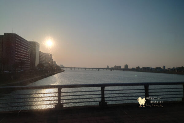 朝の大淀川