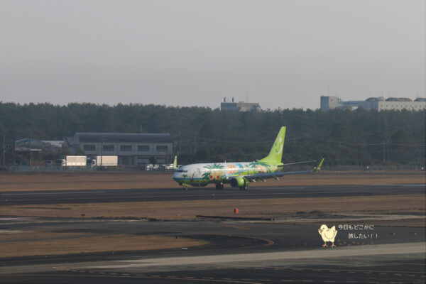 宮崎空港に初飛来したナッシージェット宮崎