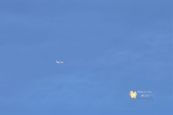 三交インGrande名古屋 ホテル＆スパの Grandeスタンダードルームから見えた飛行機