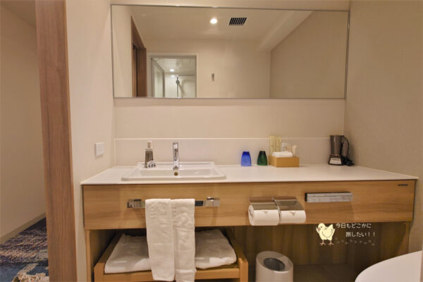 「ホテルJALシティ名古屋 錦」のシンプルクイーンの洗面所