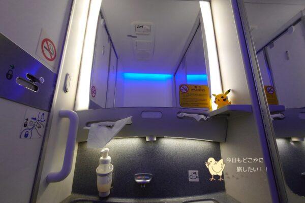 ピカチュウジェットNHのトイレ