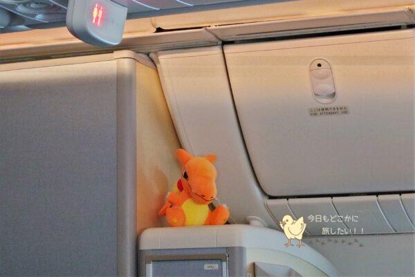 ピカチュウジェットNH初便に現れたリザードン