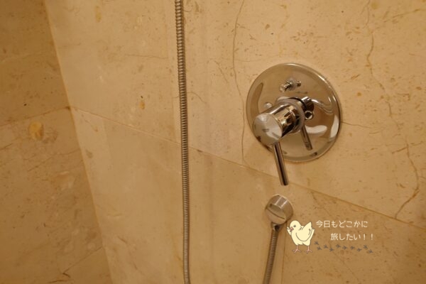 シャングリラ バンコクのデラックスリバービュールームのシャワーブースのシャワーの調節口