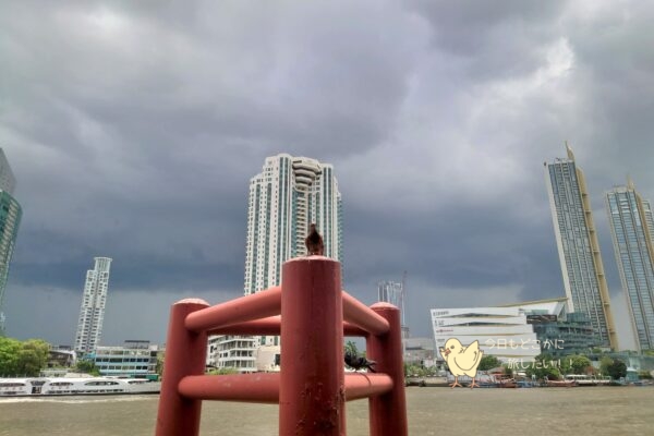 シャングリラバンコクのホテルボート船着き場から見たチャオプラヤー川