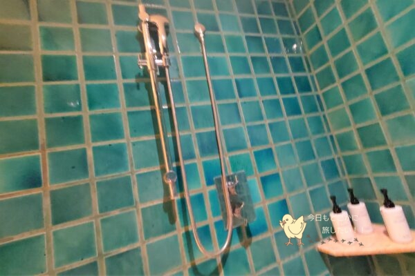 シェラトングランデ スクンビット、ラグジュアリーコレクションホテル、バンコクのグランデルームのシャワーブース