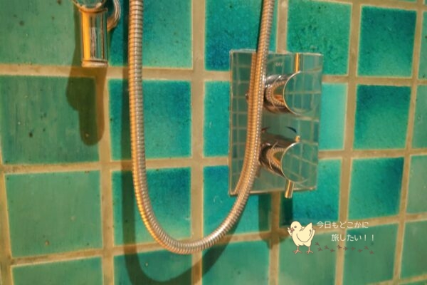 シェラトングランデ スクンビット、ラグジュアリーコレクションホテル、バンコクのグランデルームのシャワーブース