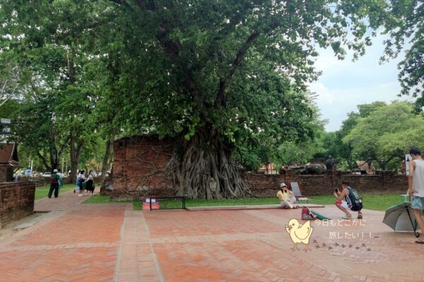 ワット・プラ・マハタート（Wat Phra Maharhat）