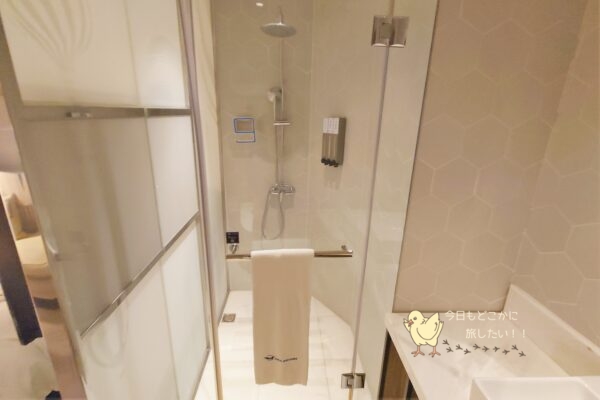 AIRLINE INN 高雄駅前のデラックスダブルのシャワーブース