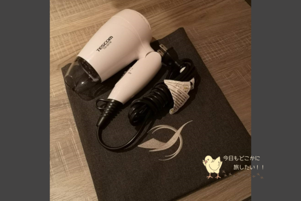 AIRLINE INN 高雄駅前のドライヤー