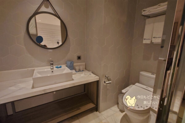 AIRLINE INN 高雄駅前のデラックスダブルの洗面所とトイレ