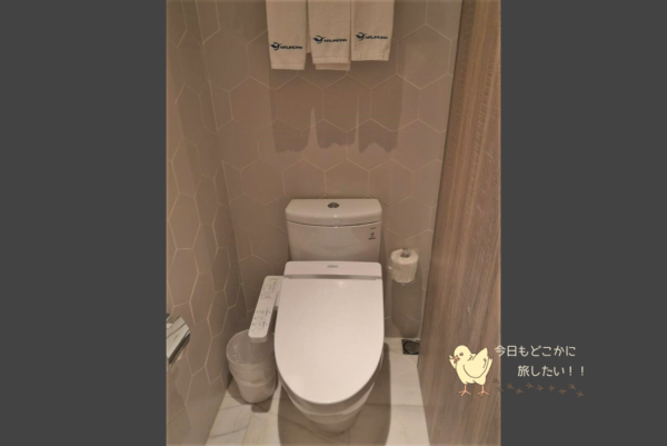 AIRLINE INN 高雄駅前のデラックスダブルのトイレ