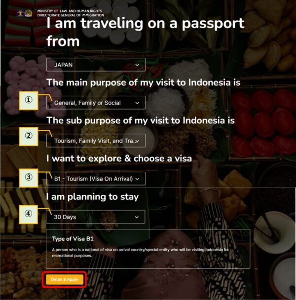 インドネシアのe-Visa申請サイトの申請ビザの選択