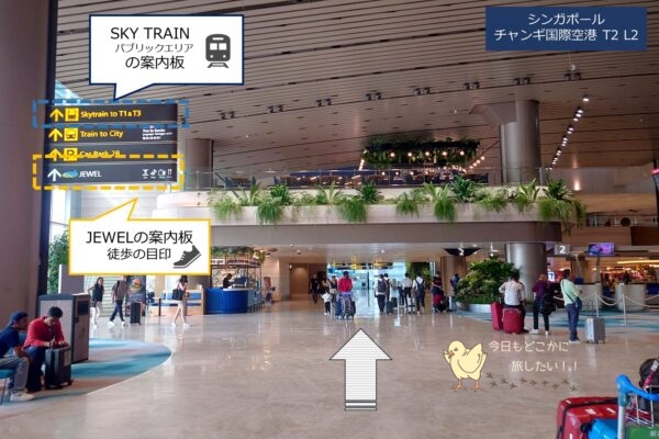 シンガポール・チャンギ空港T2のL2F・出発ロビー階からジュエルへのアクセス方法