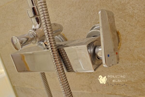 相鉄ホテルズ ザ・スプラジール ソウル東大門のデラックスダブルのシャワー