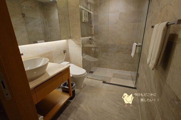 相鉄ホテルズ ザ・スプラジール ソウル東大門のデラックスダブルの水回りスペース