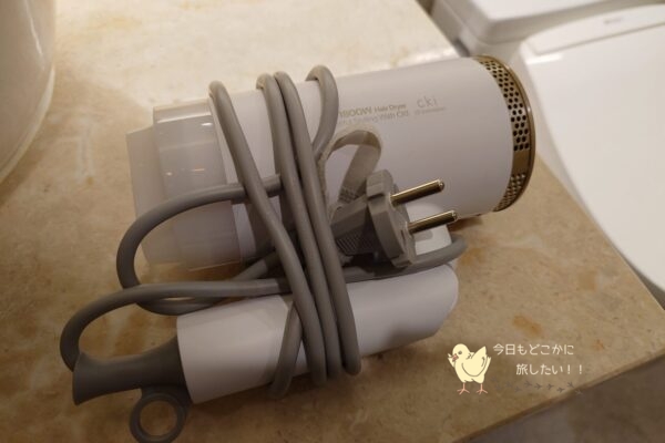 相鉄ホテルズ ザ・スプラジール ソウル東大門のデラックスダブルのドライヤー