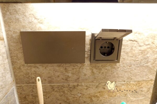 相鉄ホテルズ ザ・スプラジール ソウル東大門のデラックスダブルの洗面所のコンセント