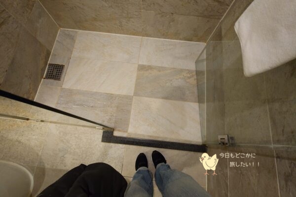 相鉄ホテルズ ザ・スプラジール ソウル東大門のデラックスダブルのシャワールーム