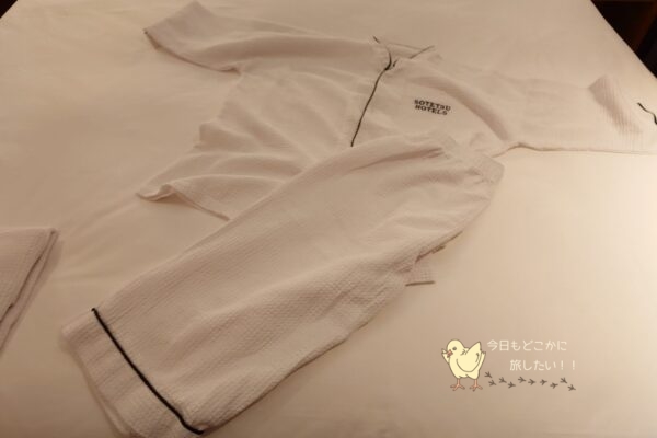 相鉄ホテルズ ザ・スプラジール ソウル東大門のナイトウェア