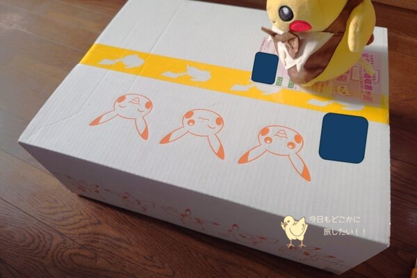 オーダーしたポケモンMYデザインが届いたときの外箱